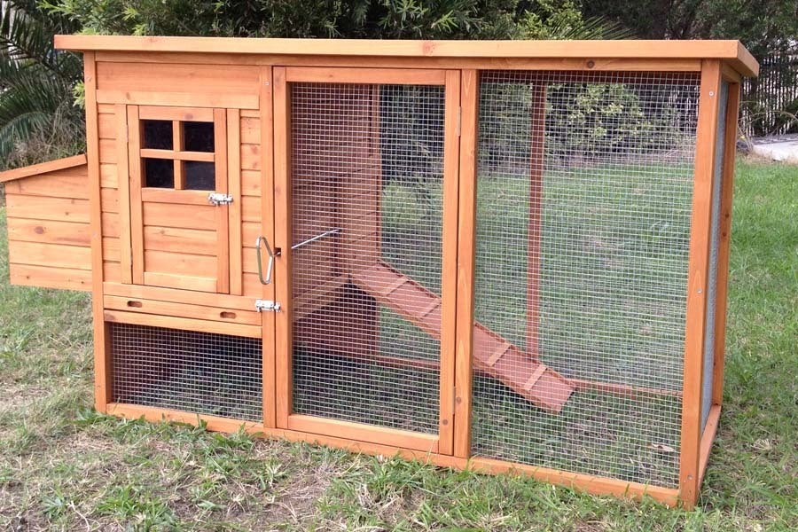 Premium Chicken Coop
