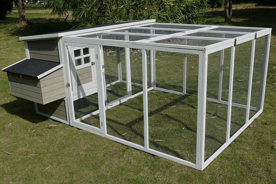 Super Large Premium Plus Chicken Coop