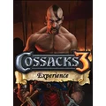 Cossacks 3 Experience