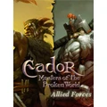 Eador: Masters of the Broken World - Allied Forces