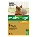 Advantage For Kittens & Small Cats Up To 4kg Orange 12 Doses