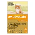 Advocate For Kittens & Small Cats Up To 4kg Orange 12 Doses