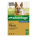 Advantage For Extra Large Dogs Over 25kg Blue 12 Doses