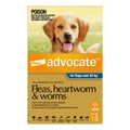 Advocate For Dogs Over 25 Kg Extra Large Dogs Blue 3 Doses