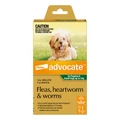 Advocate For Dogs Up To 4 Kg Small Dogs/Pups Green 1 Dose