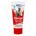 Vetsense Energel For Dogs And Cats 200 Gm 1 Pack
