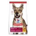 Hill's Science Diet Adult Chicken & Barley Dry Dog Food 7.5 Kg