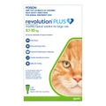 Revolution Plus For Large Cats 5 - 10kg Green 6 Pack