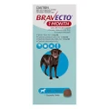 Bravecto 1 Month Chew For Dogs 20-40 Kg - Large Blue 1 Chew - 1 Month