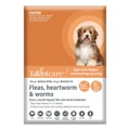 Talentcare Spot On Dog Flea & Worm Treatment For Puppies And Small Dogs Up To 4kg 3 Pack