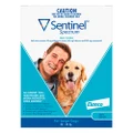 Sentinel Spectrum Tasty Chews For Large Dogs 22 To 45kg Blue 12 Chews