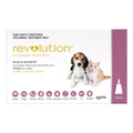 Revolution Selamectin For Puppies Pink 3 Pack
