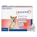 Evicto Spot-On Selamectin For Large Dogs 20-40kg Pink 4 Pack