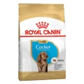 Royal Canin Cocker Spaniel Puppy Dry Dog Food 3 Kg