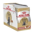 Royal Canin British Shorthair In Gravy Adult Over 12 Months Pouches Wet Cat Food 85 Gms 12 Pack