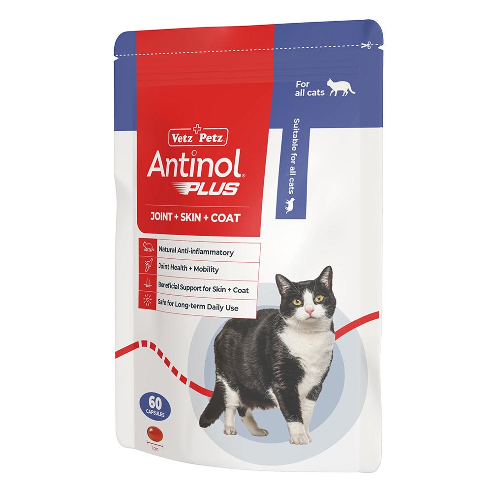 Antinol Plus Natural Anti Inflammatory Joint Mobility Skin And Coat Soft Gel Capsules For Cats 60 Capsule
