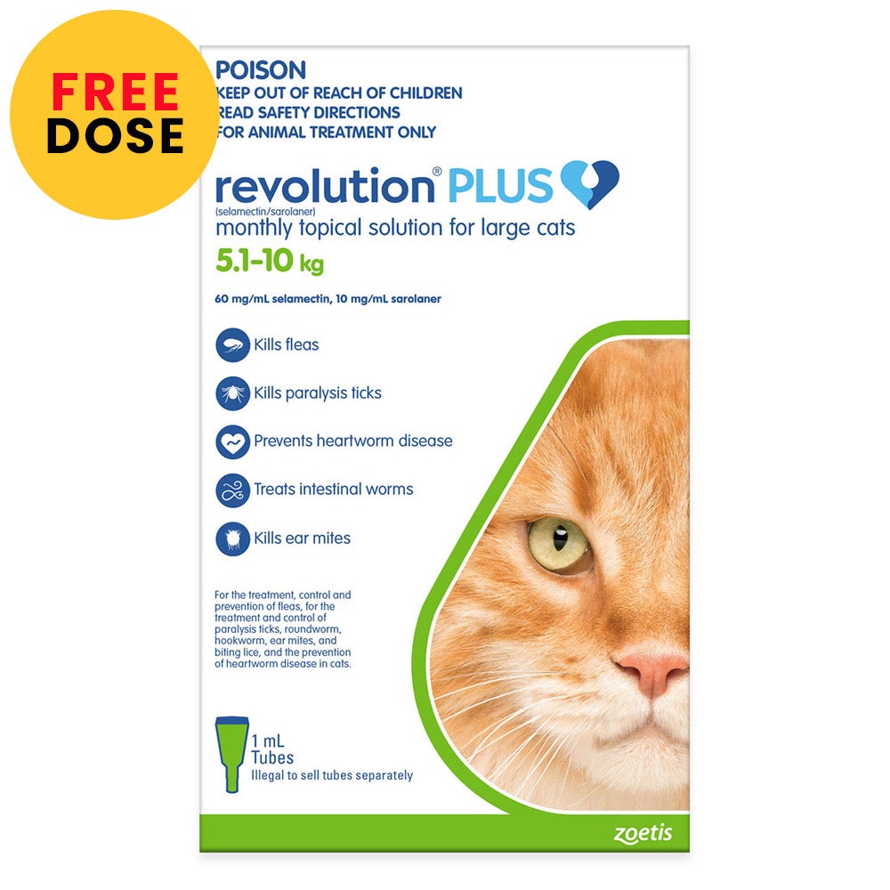 Revolution Plus For Large Cats 5 - 10kg Green 6 Pack + 1 Free