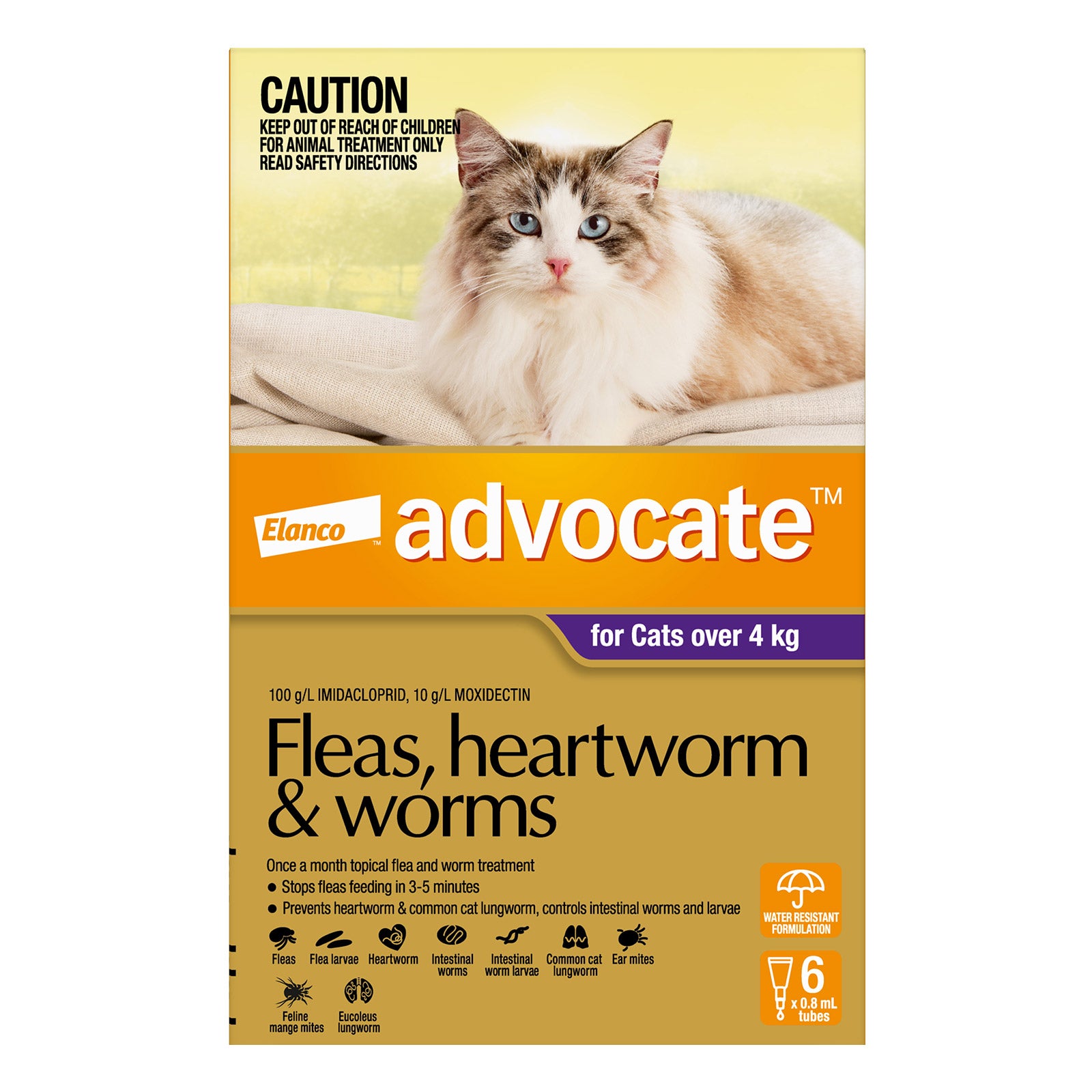 Advocate For Cats For Cats Over 4kg Purple 6 Doses