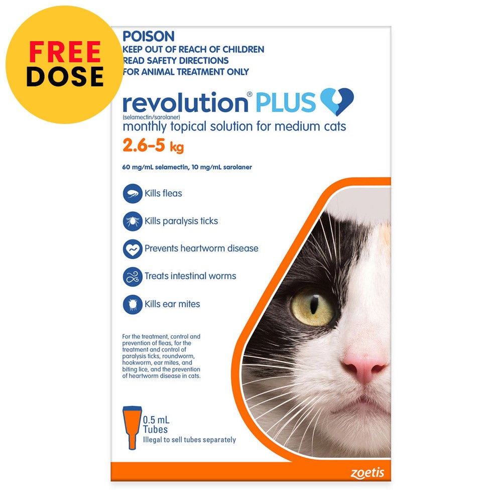 Revolution Plus For Medium Cats 2.5 - 5kg Orange 6 Pack