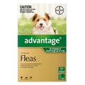 Advantage For Small Dogs Up To 4kg Green 4 Doses