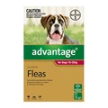 Advantage For Large Dogs 10 To 25kg Red 4 Doses