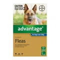 Advantage For Extra Large Dogs Over 25kg Blue 1 Dose