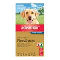 Advantix For Extra Large Dogs Over 25kg Blue 3 Pack