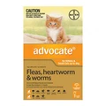 Advocate For Kittens & Small Cats Up To 4kg Orange 3 Doses