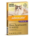 Advocate For Cats Over 4kg Purple 3 Doses