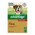 Advantage For Large Dogs 10 To 25kg Red 6 Doses