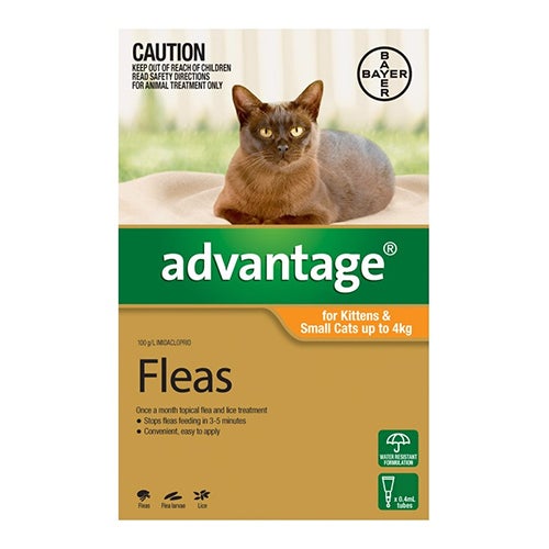 Advantage For Kittens & Small Cats Up To 4kg Orange 6 Doses