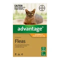Advantage For Kittens & Small Cats Up To 4kg Orange 6 Doses