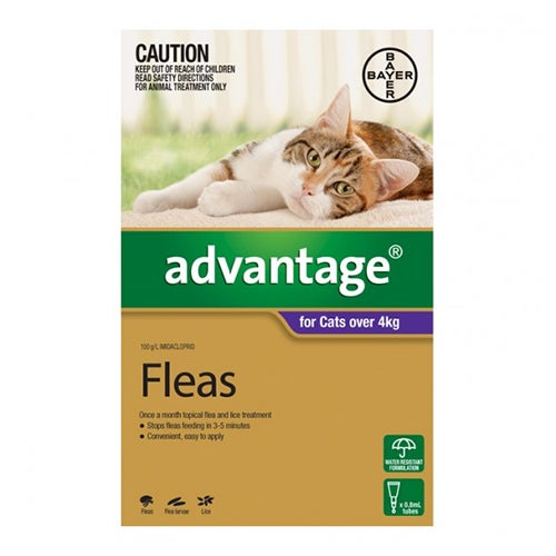 Advantage For Cats Over 4kg Purple 6 Doses