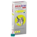Bravecto Plus For Small Cats 1.2 2.8 Kg Green 1 Pack