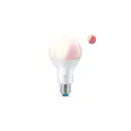 WiZ 100W A67 E27 Smart Bulb RGB
