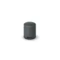 Sony SRS-XB100 Portable Bluetooth Speaker - Black (SRS-XB100/BCE)