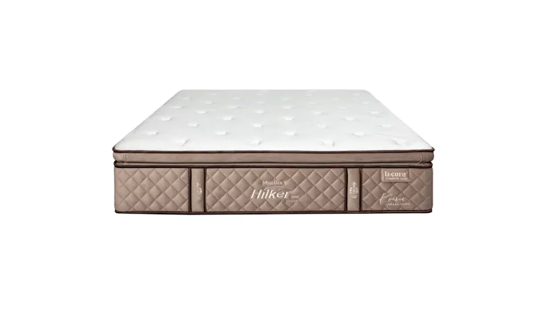 Hilker Mueller V Mattress - Queen Size