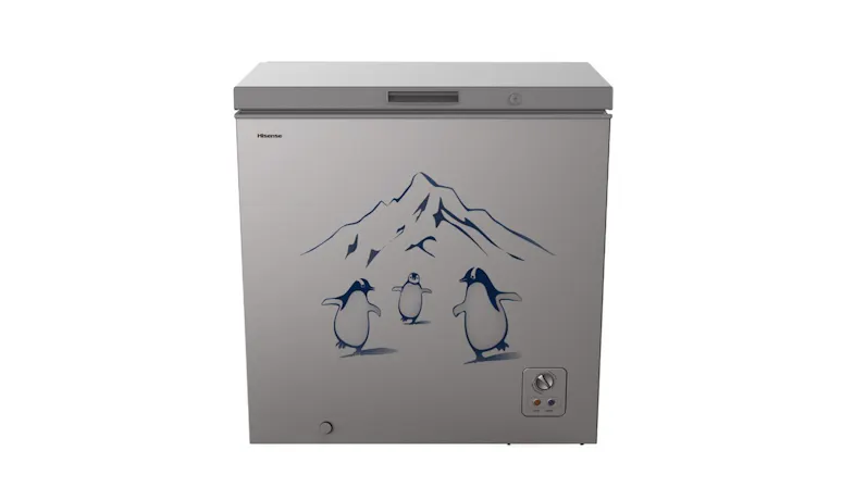 Hisense 248L Chest Freezer - Black Glass (FC260LAC 248L)
