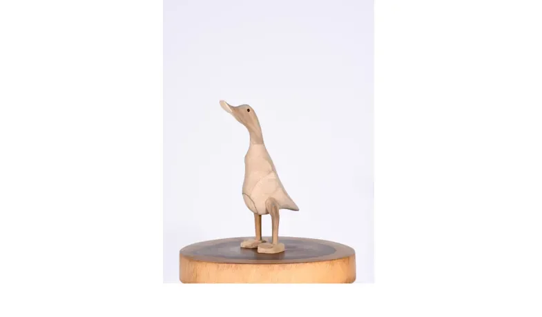 Duck Medium - Natural