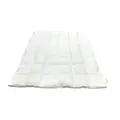 Ashley Summers Feather King Mattress Topper