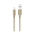 Casestudi 1M Lightning Cable - Armour Gold