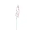 Swing Gift Naomi Lilac Orchid - Pink