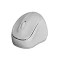 CLiPtec RZS859 YOUNG 2.4GHz 1200DPI Wireless Mouse - Grey