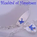 Sterling Silver Bluebird of Happiness Charm Identity Padlock Bracelet 16cm