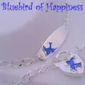 Sterling Silver Bluebird of Happiness Charm Identity Padlock Bracelet 19cm