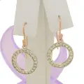 9ct Rose Gold and White Cubic Zirconia Circle Hook Earrings