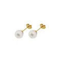Coco Cultured Freshwater Pearl 8mm Stud Earrings in 9ct Gold