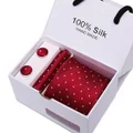 Striegel Men Silk Formal Tie Necktie Set with Pocket Square Cufflinks