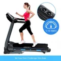 2Hp 1-15Km/H Speed Foldable Treadmill Running Machine W/42Cm Width Belt Home Gym Exercise Equipment