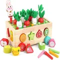 Toddlers Montessori Wooden Educational Toys for Baby Boys Girls Age 3+,Shape Sorting Toys Gifts for Kids,Wood Preschool Learning Fine Motor Skills Game